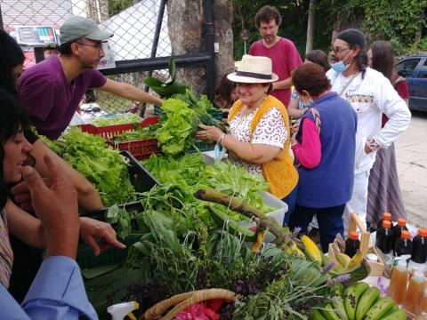 Distribución de excedentes de la primera cosecha de la huerta comunitaria Compóstate Bien